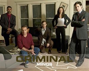 Criminal Minds Season 10 & NCIS Seasons 12