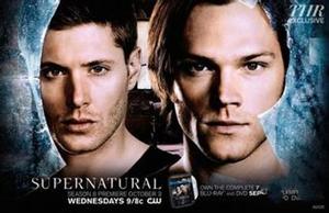 Supernatural Season 1-10 DVD Box Set