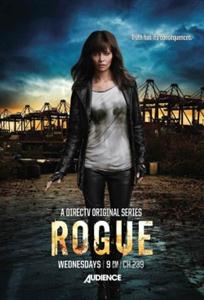 Rogue Season 1-4 DVD Box Set