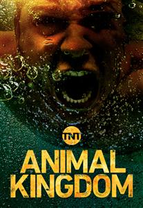 Animal Kingdom Season 1-3 DVD Box Set