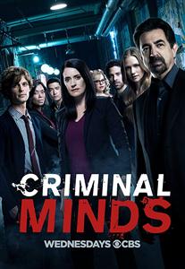 Criminal Minds season 1-14 DVD Set