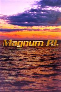 Magnum P.I. TV Series (2018) Seasons 1 DVD Boxset