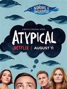 Atypical Seasons 2 DVDset