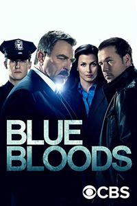 Blue Bloods Seasons 9 DVDSet
